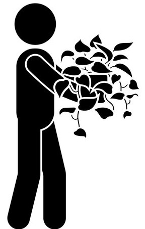 man with home flower vector illustration 654181 228