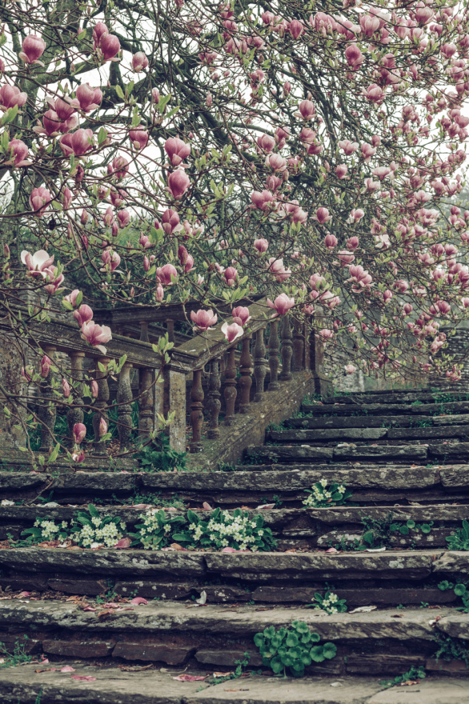 Curved Paths Invite Wandering