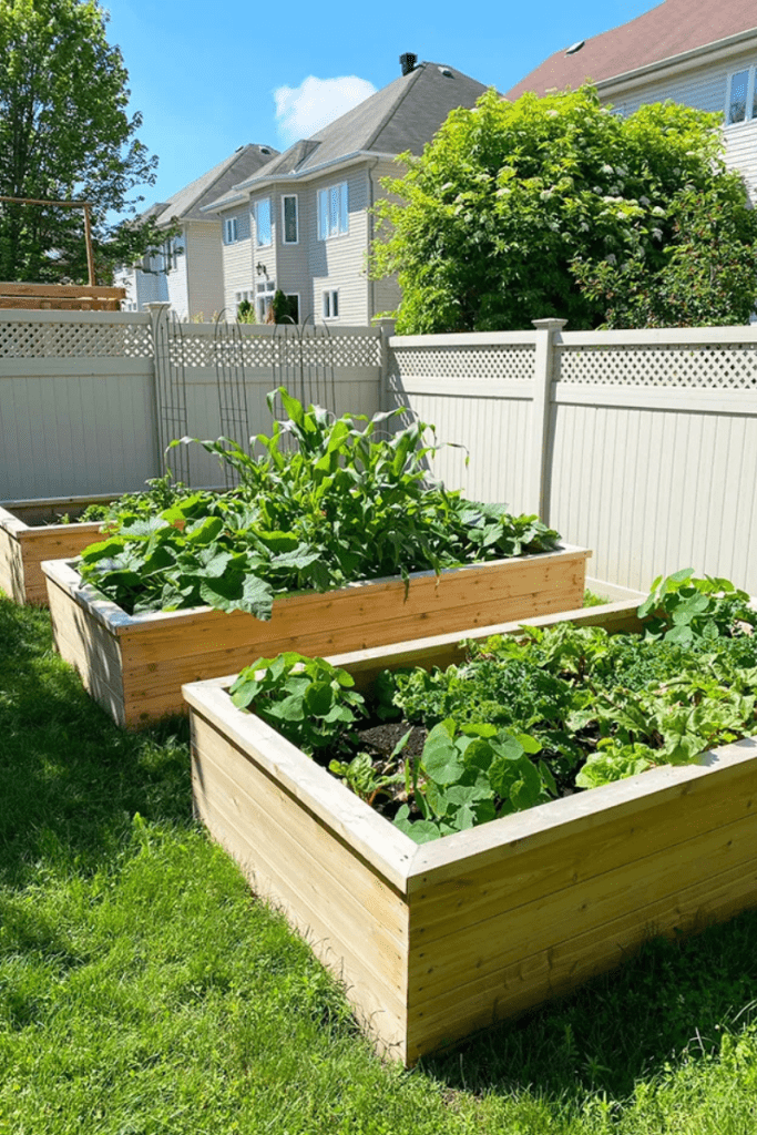 Raised Garden Beds