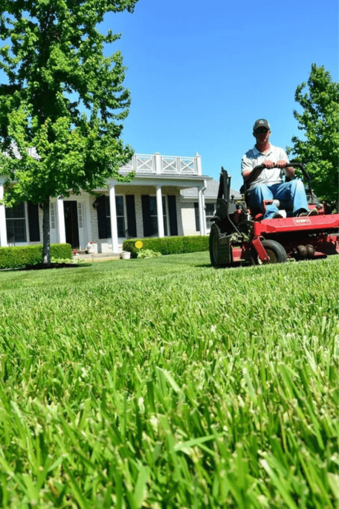 summer lawn care