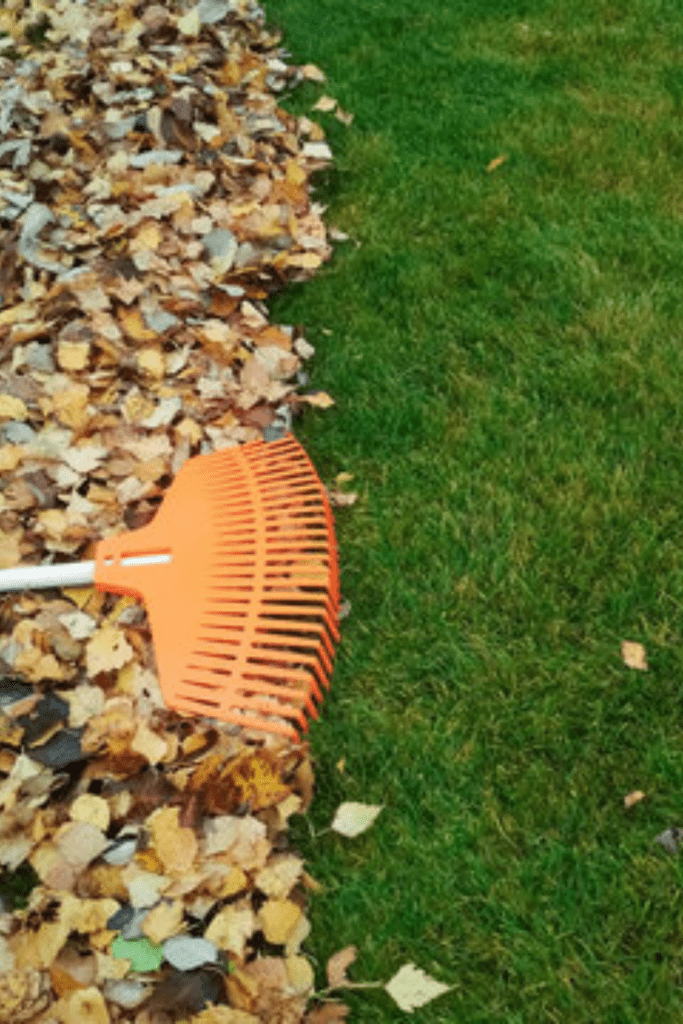 fall lawn care