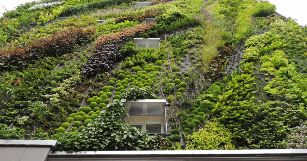 vertical gardening 05