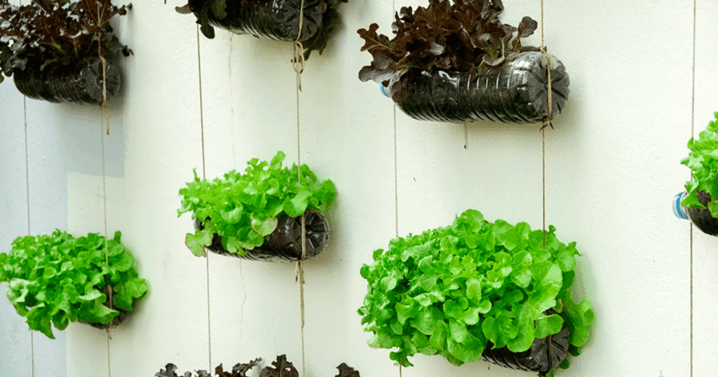 vertical gardening 06