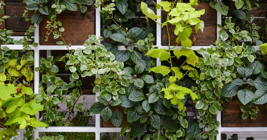 vertical gardening 09