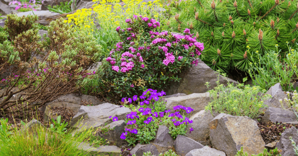 Rock Garden Ideas 05