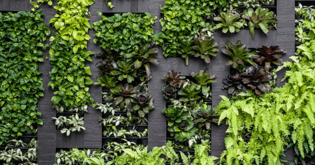 vertical gardening 02