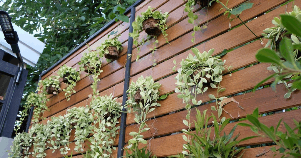 vertical gardening 03